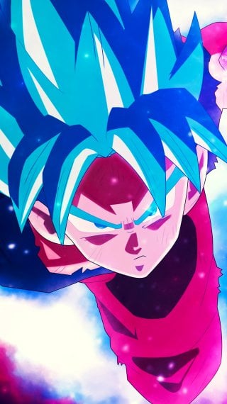 Dragon Ball Super Goku and Vegeta Super Saiyan Blue Wallpaper