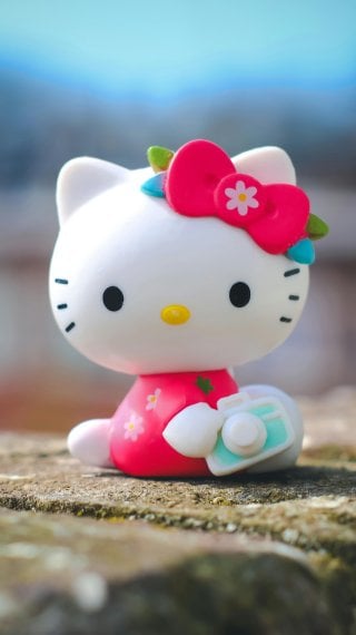 Hello Kitty Fondo ID:12424