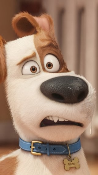 Max de La vida secreta de tus mascotas Fondo de pantalla