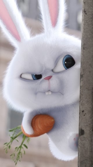 Snowball de La vida secreta de tus mascotas Fondo de pantalla