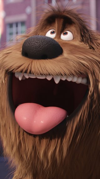 Perro Fondo ID:12480