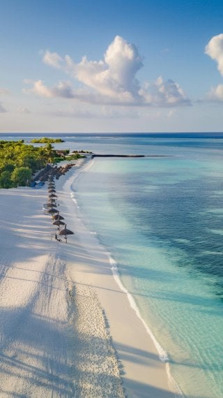 Beach Wallpaper ID:12626