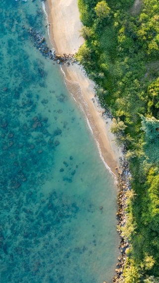 Nature Wallpaper ID:12672