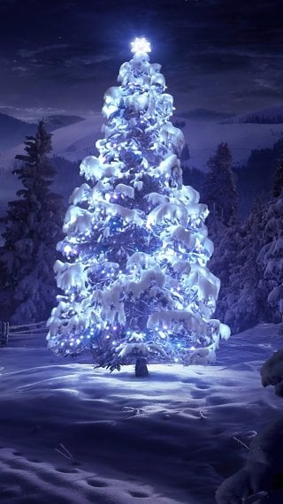 Illustration Christmas tree in the forest Wallpaper
