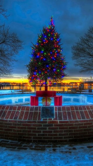 Árbol de navidad en paisaje anochecer Fondo de pantalla
