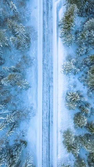 Vista aérea del bosque en invierno Fondo de pantalla