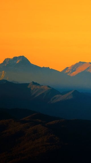 Ancient Giants Wallpaper