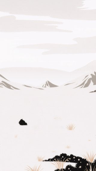 Aesthetic Fondo ID:13463