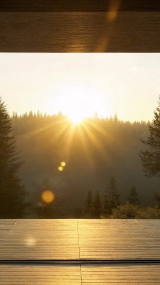 Paisaje de vista a gran bosque desde una cabaña Fondo de pantalla
