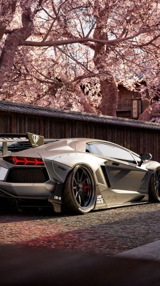 Lamborghini Aventador in China in spring Wallpaper