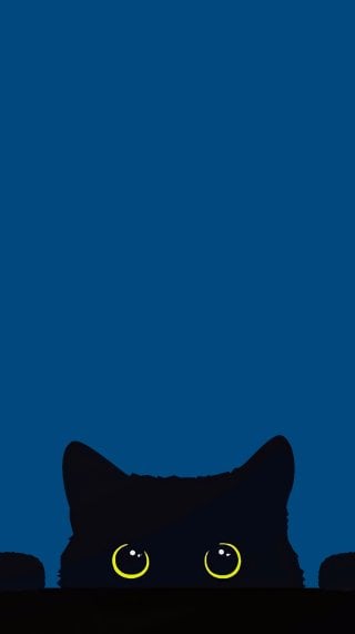 Gato Fondo ID:14036