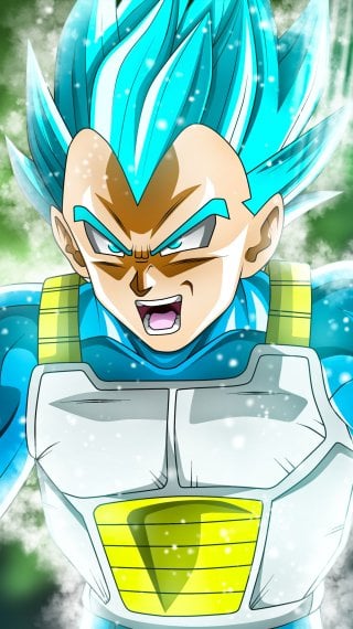 Vegeta Wallpaper ID:14125