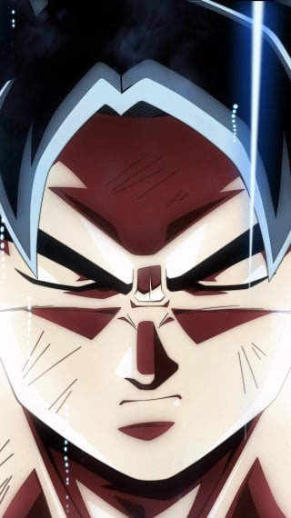 Goku Fondo ID:14137