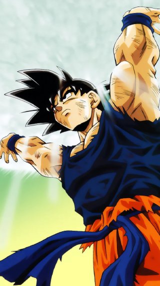 Goku Fondo ID:14143