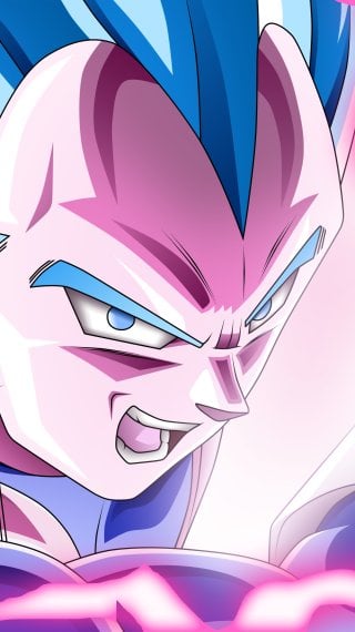 Dragon Ball Fondo ID:14144