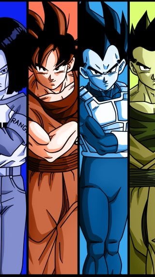 Goku Fondo ID:14169