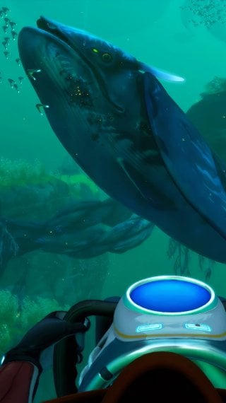 Ocean Wallpaper ID:14224