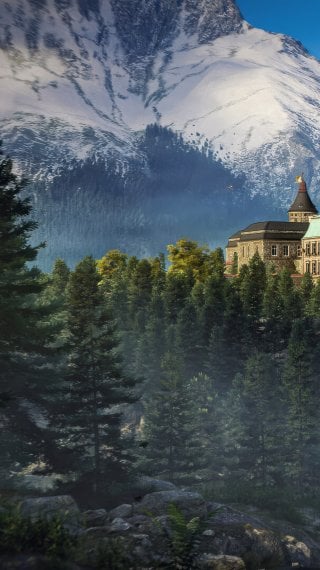 Forest Wallpaper ID:14285
