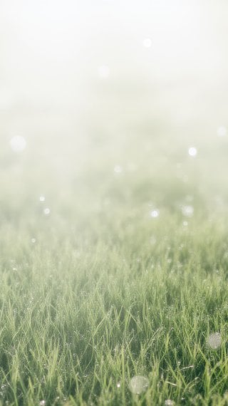 Pasto con destello de luz del sol suave - Aesthetic Fondo de pantalla