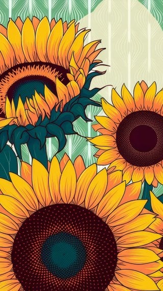 Girasoles al atardecer - Naturaleza Fondo de pantalla