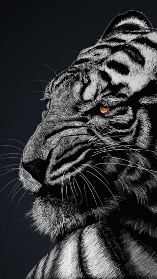 Tiger Wallpaper ID:3196