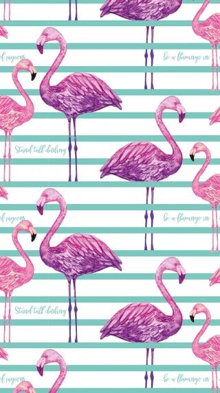 Kiut Wallpaper ID:3564
