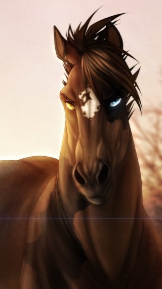 Caballo con mirada intensa Fondo de pantalla