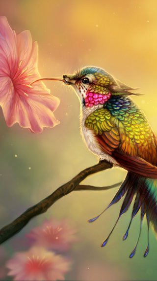 Fantasy Hummingbird Wallpaper