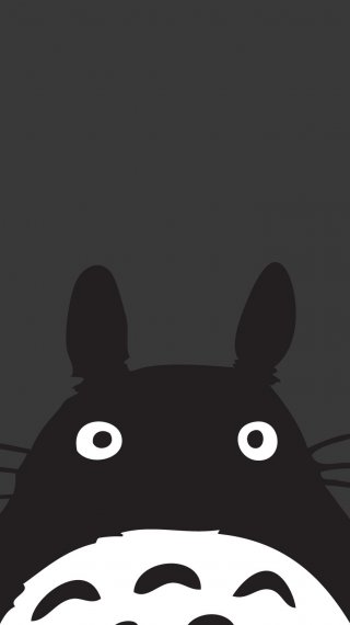 My Neighbor Totoro Wallpaper