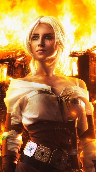 The witcher Wallpaper ID:5179