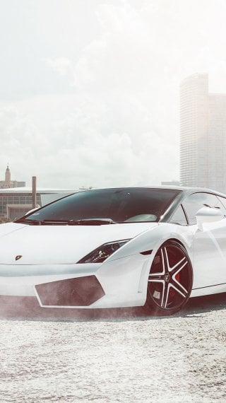 Lamborghini Fondo ID:528
