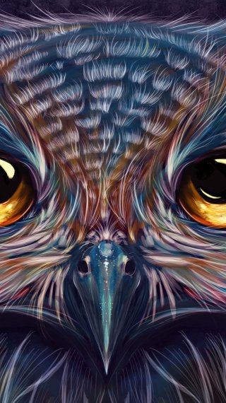 Owl of colors Wallpaper