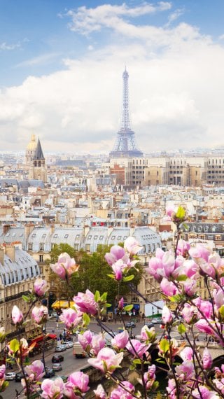 Paisaje de Paris con flores Wallpaper