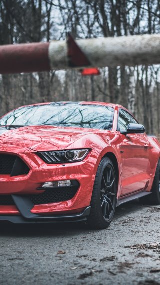 Ford Mustang Shelby GT350 rojo con rayas negras Fondo de pantalla