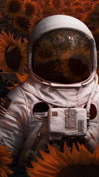 Astronauta Wallpaper ID:7400