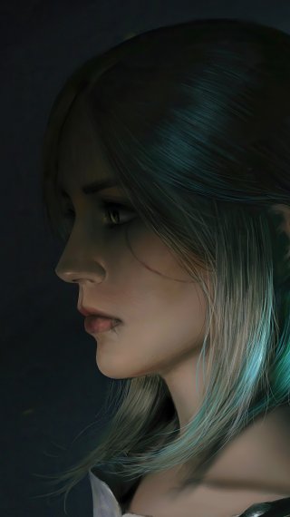 The witcher Wallpaper ID:8593