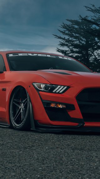 Ford Mustang GT Chicali Wallpaper