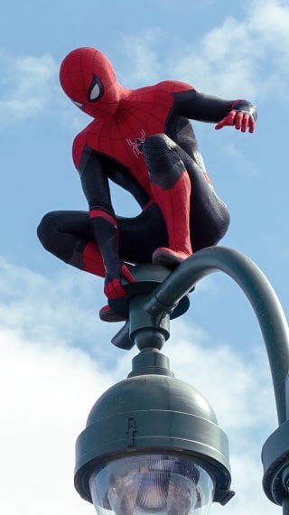 Spider Man Fondo ID:8916