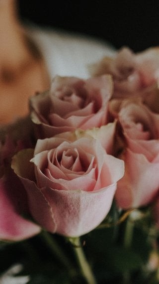 Ramo de rosas Fondo de pantalla