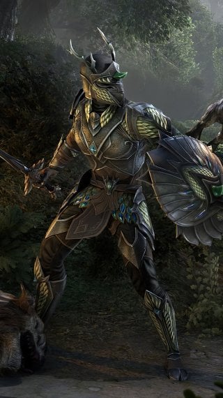 The Elder Scrolls Online Fondo de pantalla