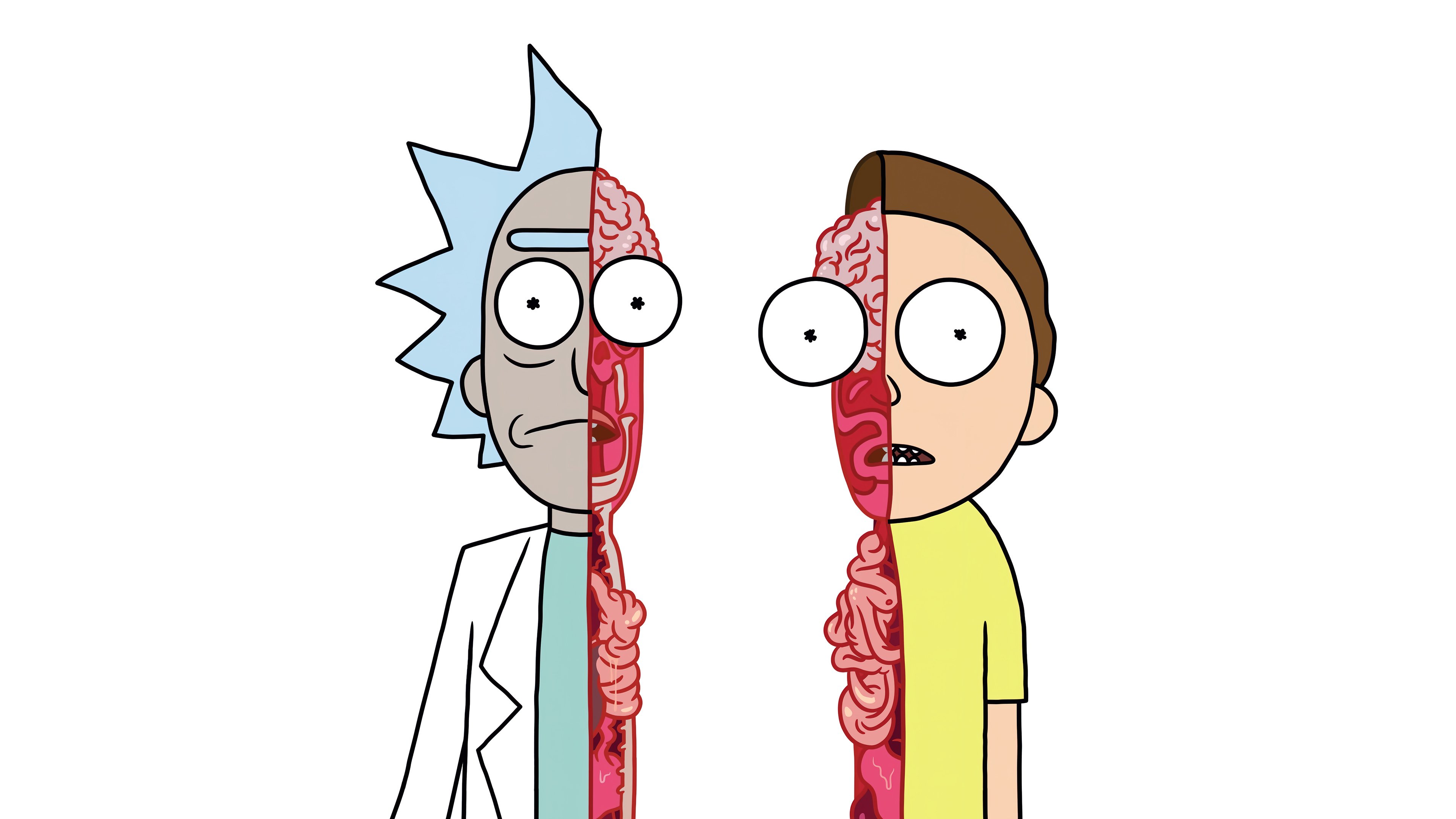 Wallpaper Rick and Morty anatomy