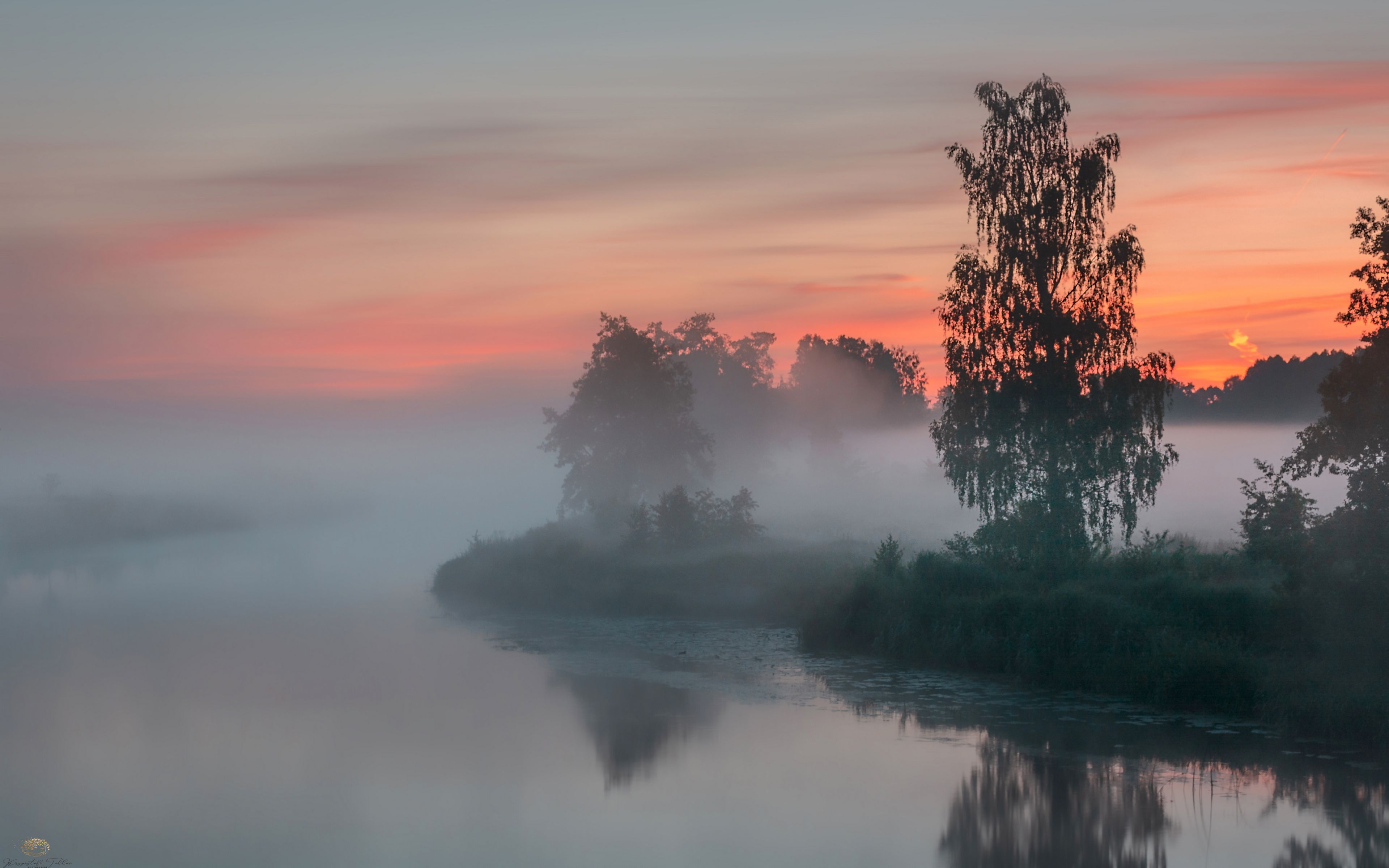 Fondos de pantalla Tree beside river in the fog