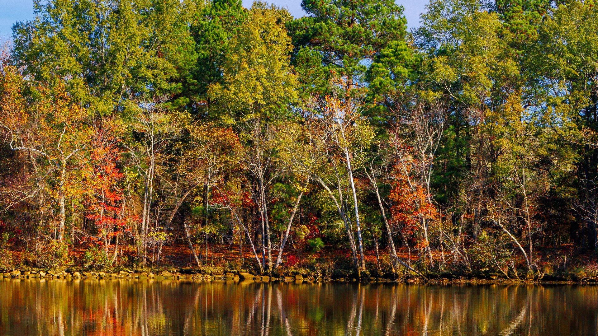 Fondos de pantalla Arboles durante el otoño reflejados en lago