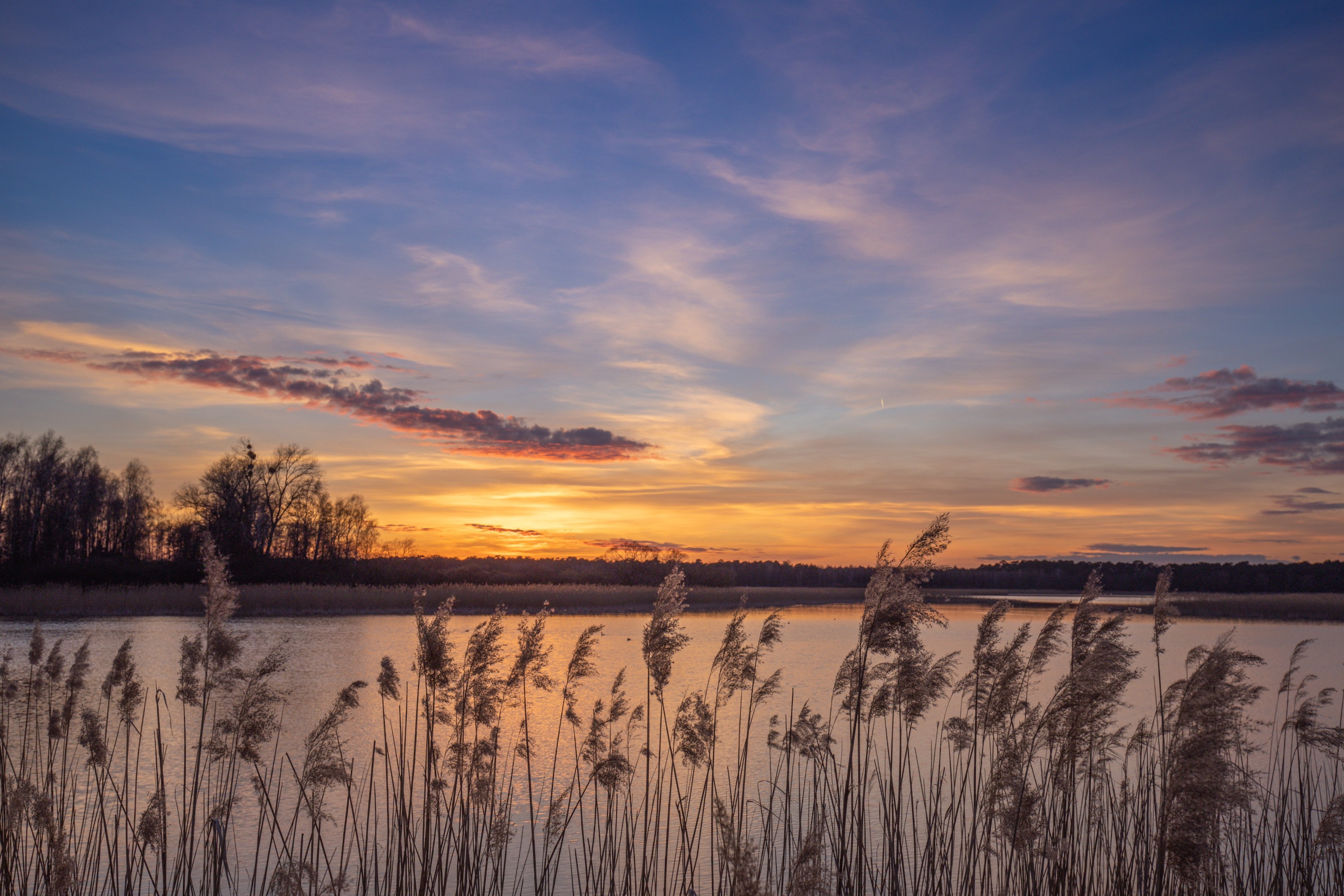Wallpaper Sunset in lake in Poland