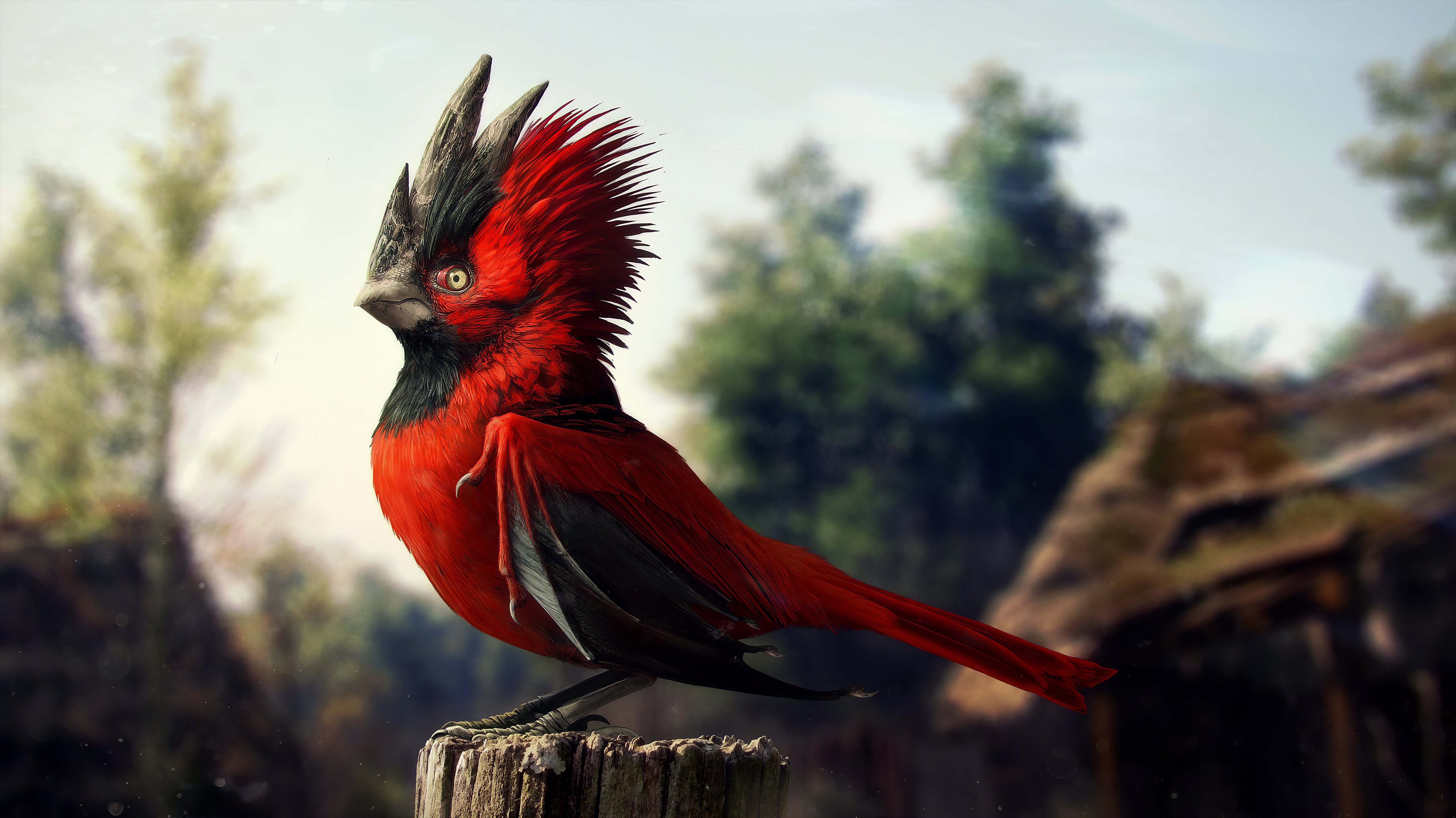 Wallpaper Red Bird
