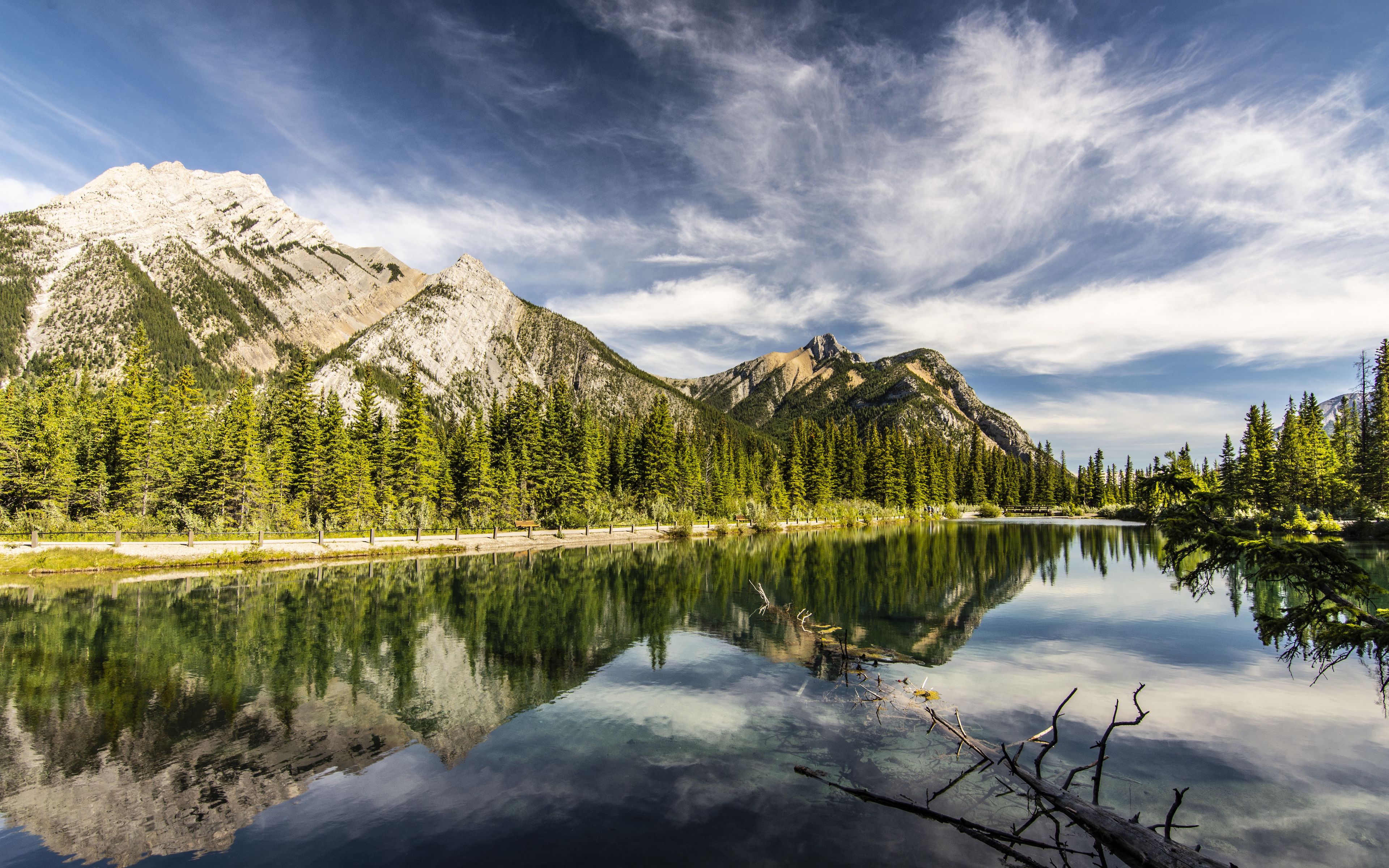 Fondos de pantalla Bosque y montaña reflejados en lago