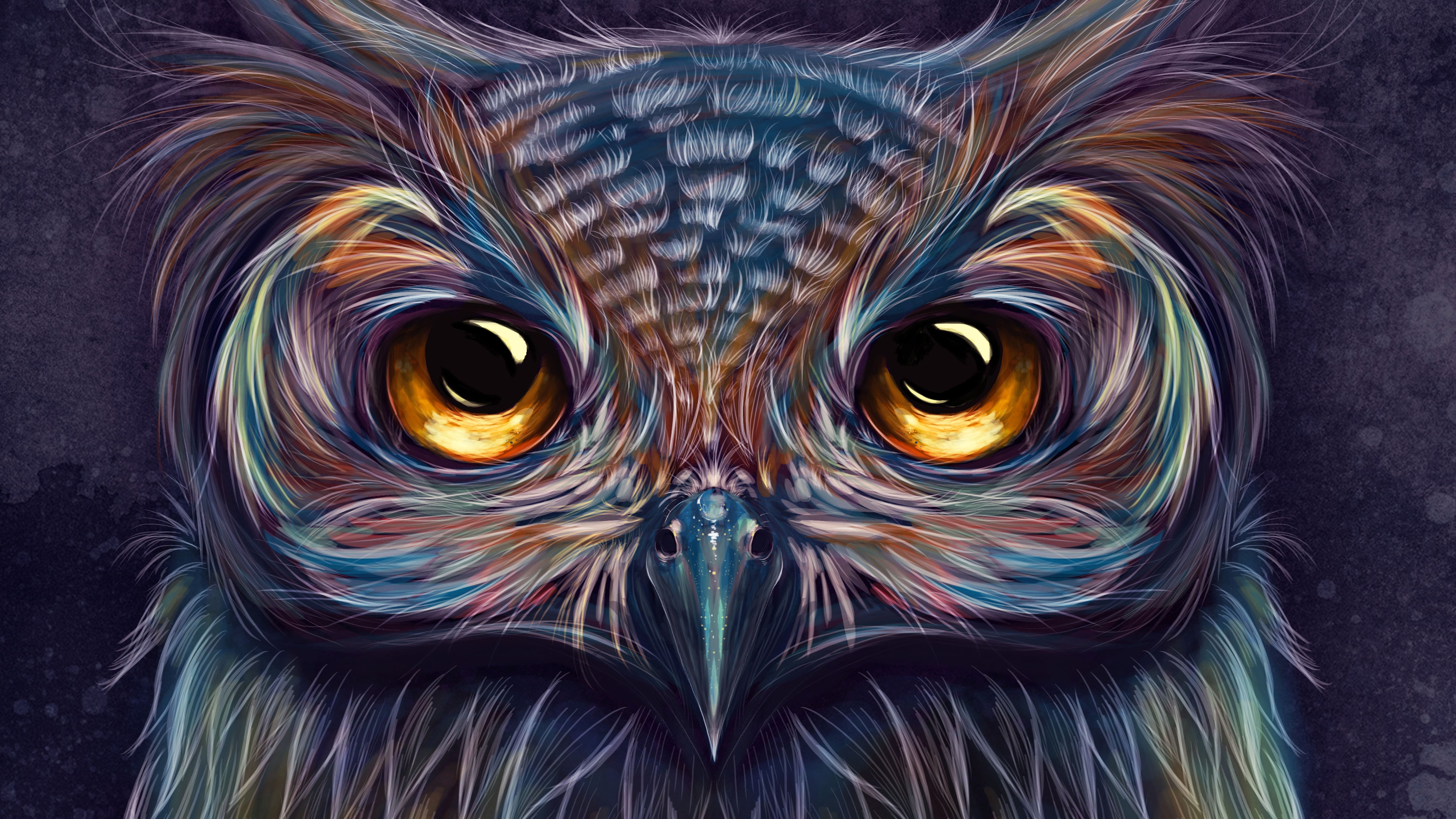 Wallpaper Owl of colors
