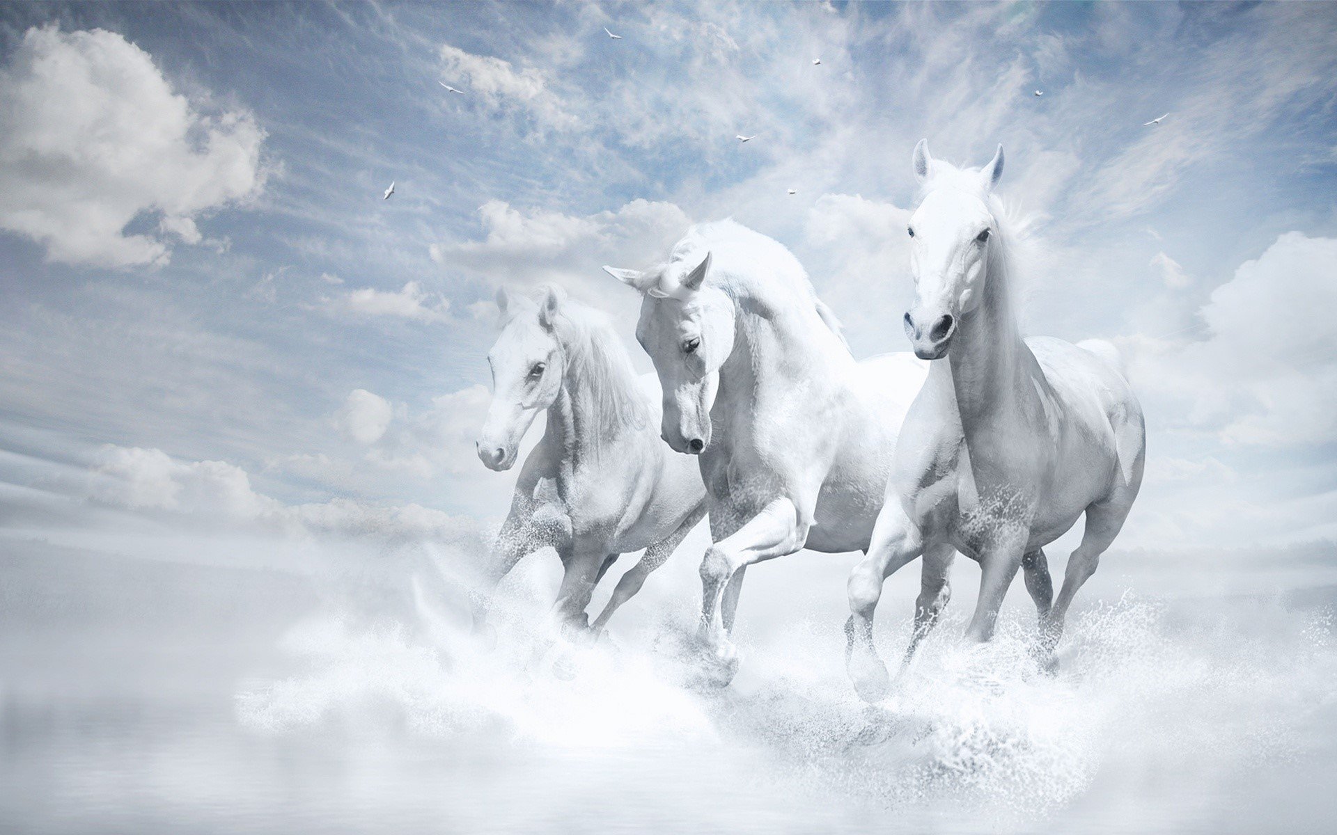 Wallpaper White horses