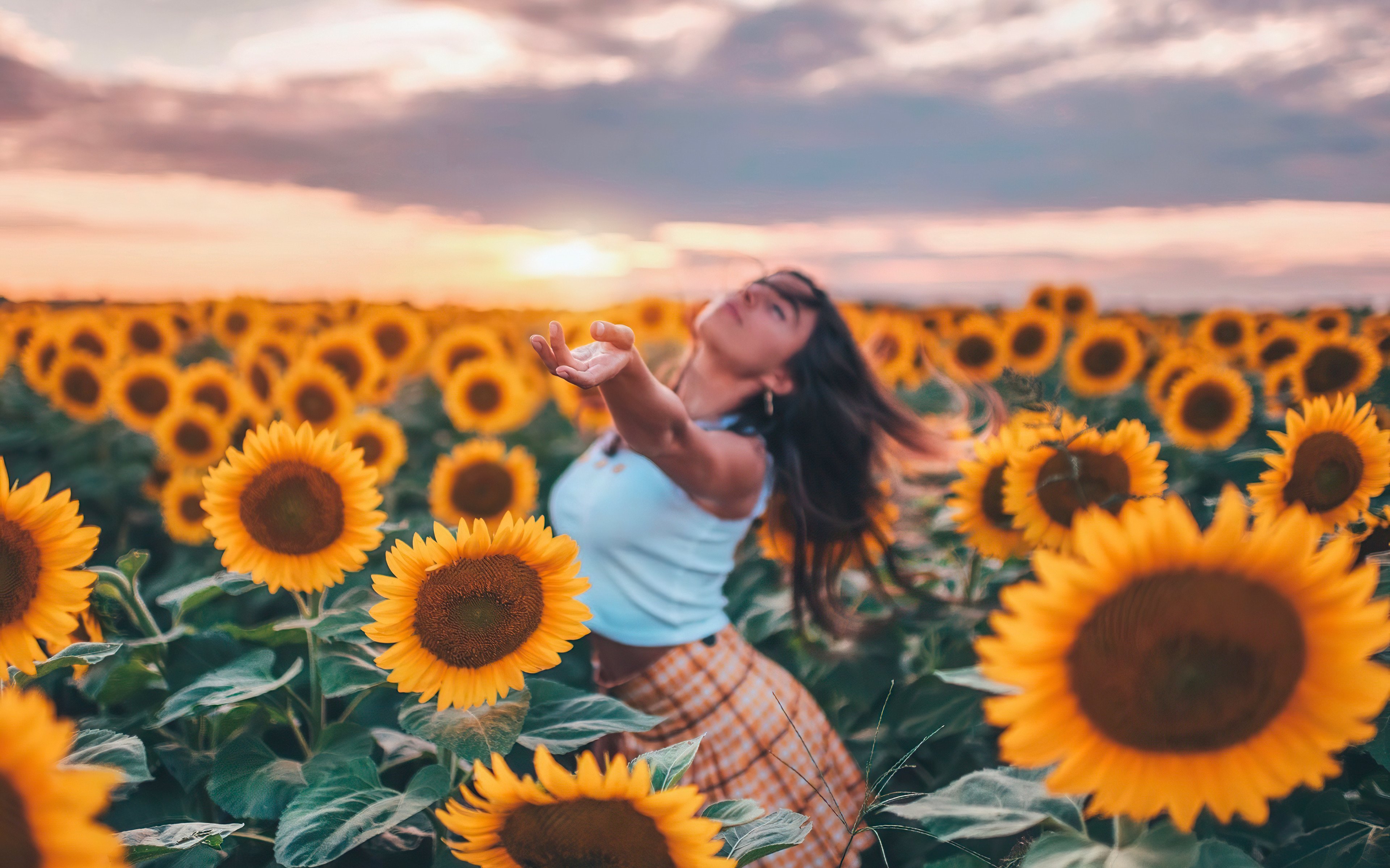 Wallpaper Girl in field of sunflowers