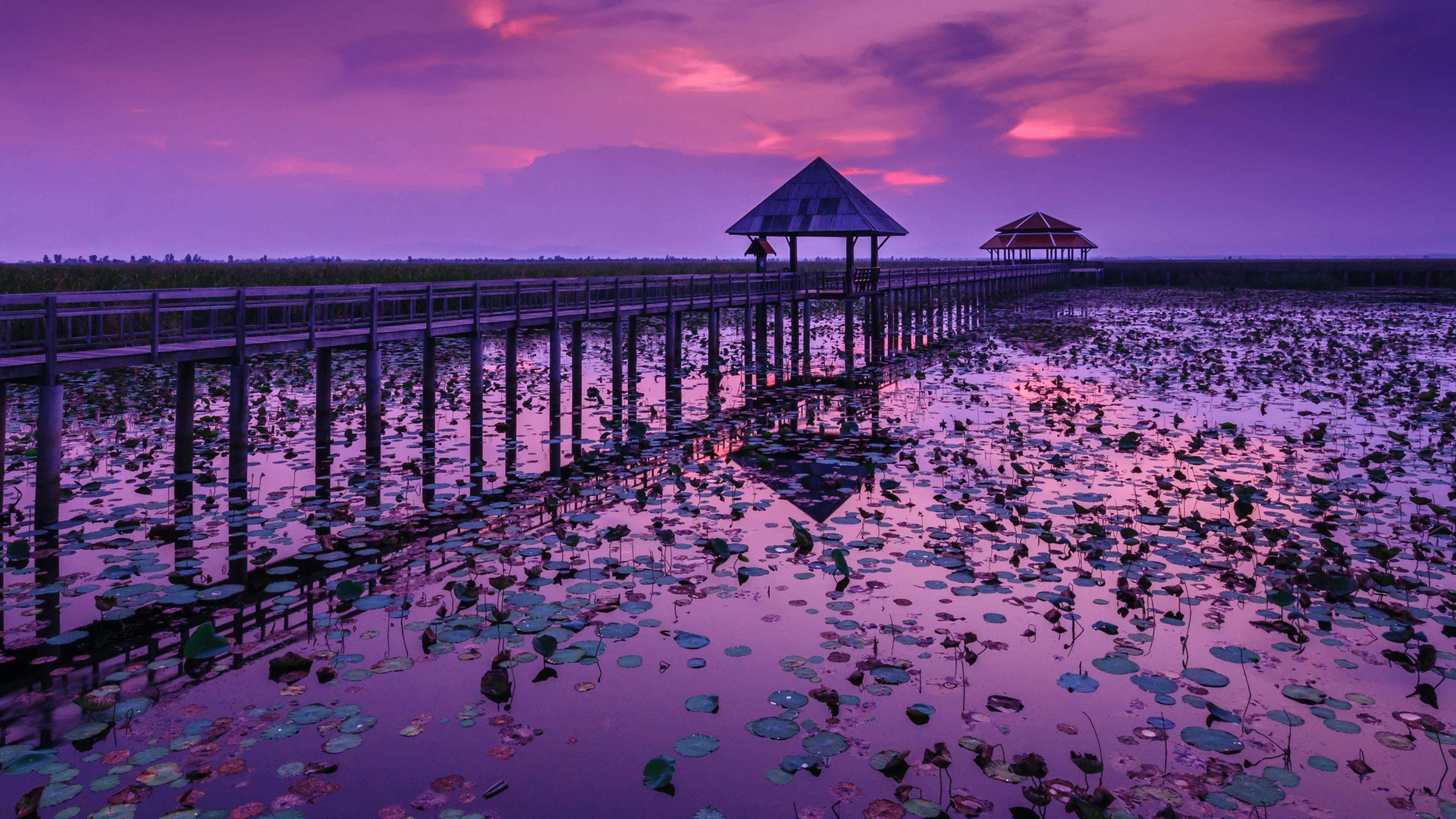Wallpaper Purple sky in pier